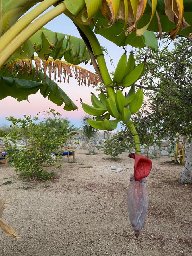 דירות לוס ברילס Casa Kinga Barriles מראה חיצוני תמונה
